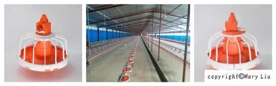 China Supplier Chicken Broiler and Layer Farming Poultry Equipment
