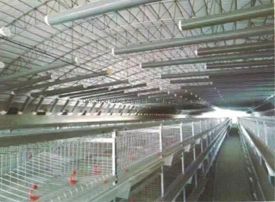 Types of Cage System in Poultry /Broiler/Chicken Layer/Egg Chicken