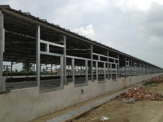 New Design Steel Structure Poultry House/ Broiler Chicken House