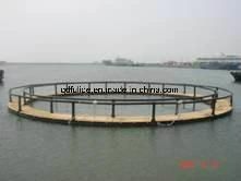 Anti Wave HDPE Deep Sea Floating Leisure Net Cages