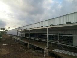 Broilersprofessionally Designed High Yield Steel Structure Chicken House
