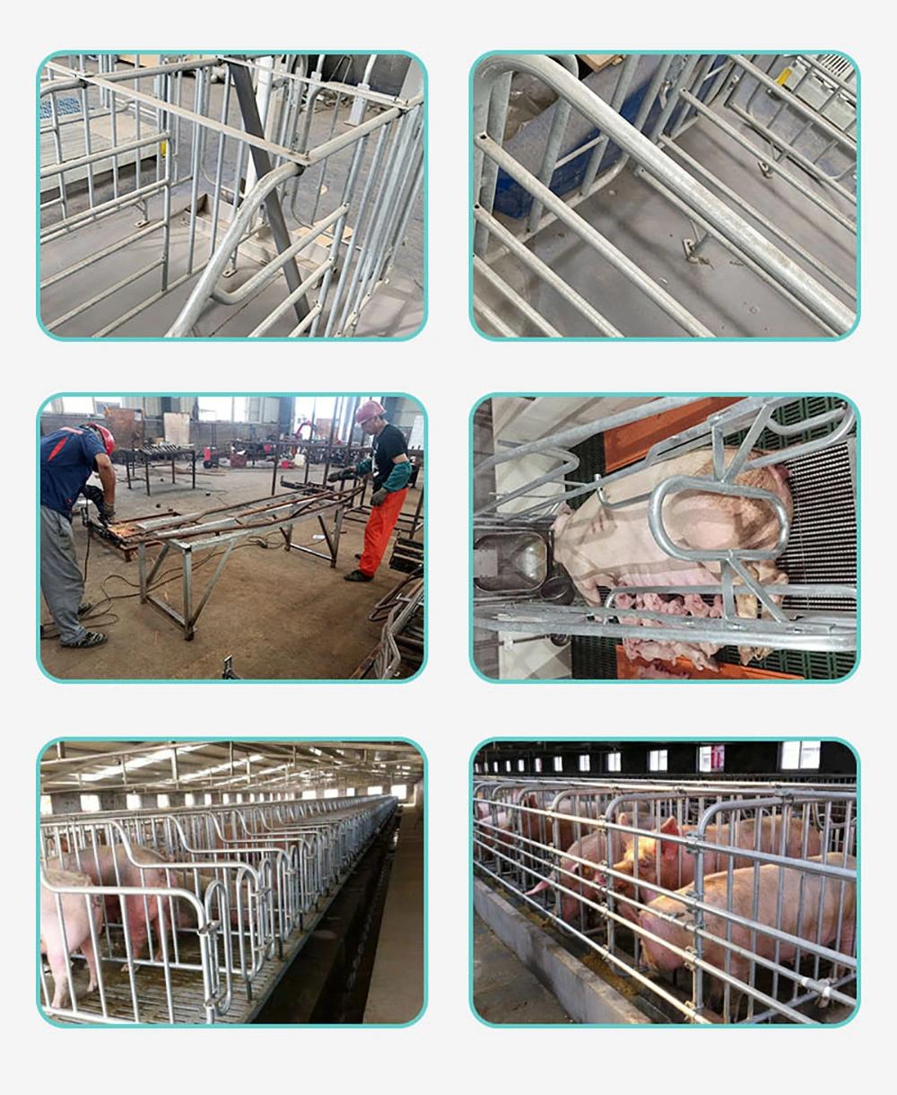 Factory Direct Sales Pig Farm Hot DIP Zinc Cage Breeding Pregnant Sow Cage Pen