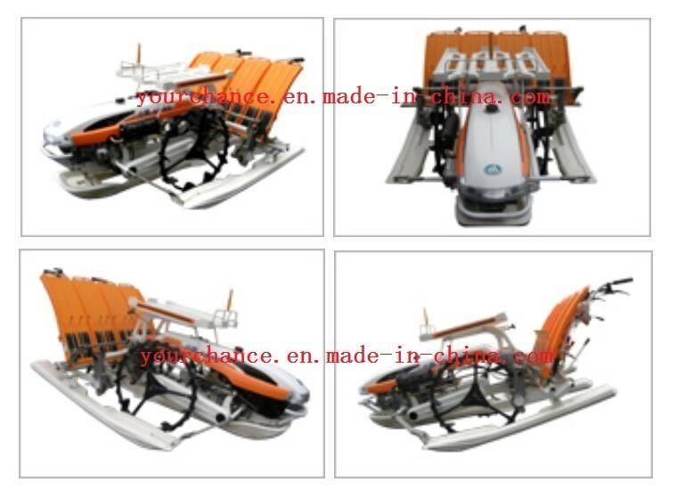 High Quality 2zx-430 4 Rows 300mm Rows Width Walking Type Rice Transplanter for Sale