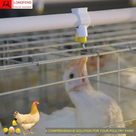 Longfeng Factory Price Comprehensive Solution Farm Poultry Equipment for A Type of Layer ...