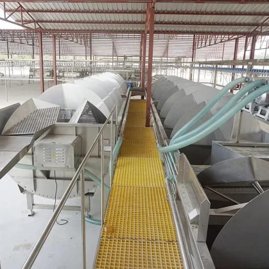 Poultry Processing Equipment/Chicken Plucking Machine/Pre-Chiller