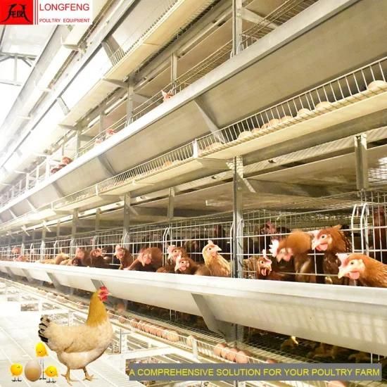 Hot Sale Dosing Medicine and Spray Disinfection Computerized Poultry Farming Equipment ...