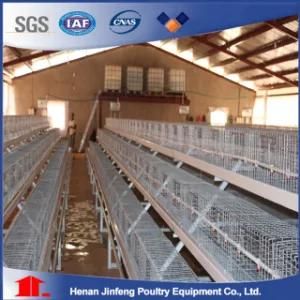 Poultry Brooder Chicken Cages for Baby Chicks