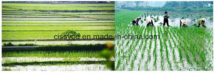 Factory Selling 6-7 Rows Corn Grain Wheat Seeding Planter Machine