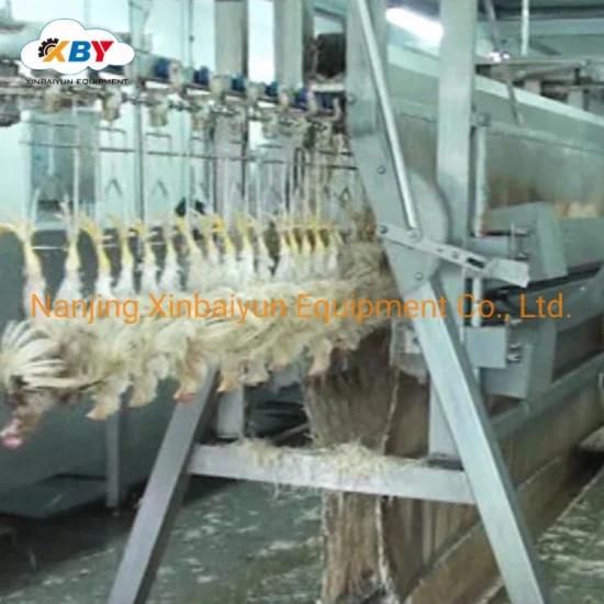 Used to Automatic Chicken Slaughtering Machine/Chicken Slaughterhouse Machinery/Slaughter ...