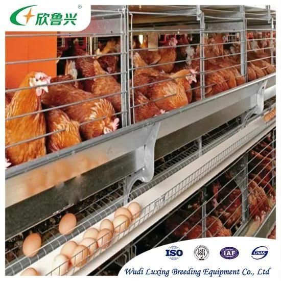 4tiers 128 Birds Hot-DIP Galvanized Egg Chicken Poultry Equipments Layer Chicken Battery ...