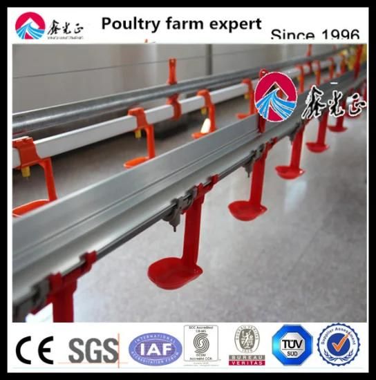 Chicken Broiler Poultry Farming Feeding Drinking Equipment