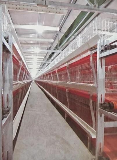 Automatic Poultry Cage System/Drinking Line/Chicken House/Automatic Egg Incubator for ...