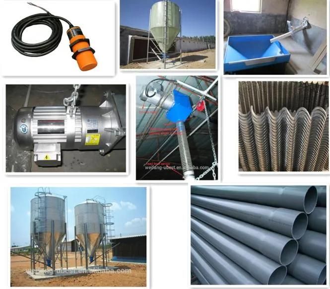 Broiler Feed Line Poultry House Feeding and Drinking System Automatic Poultry Farming Feeding System for Broiler Chicken