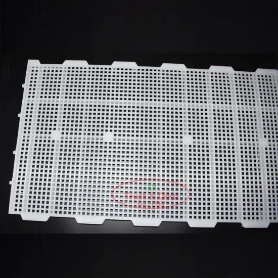 High Quality Long Life Service Time Plastic Slat Floor for Poultry Farm Equipment