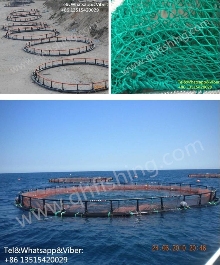 Floating Fish Farming Cage with Installing Service