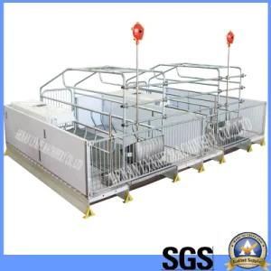 Customized Pig Sow Farm Galvanized PVC Farrowing Stall Size 2.4/3.8