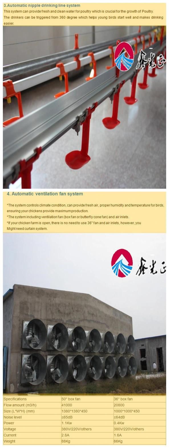 Automatic Bird-Harvesting Broiler Poultry Farm Equipment