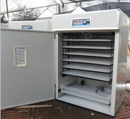 CE Approved Poultry Chicken Egg Incubator (KP-10)