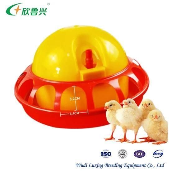 Automatic Chick Drinkingbaby Chicks Drinker for Chickens Used in Poultry Farm