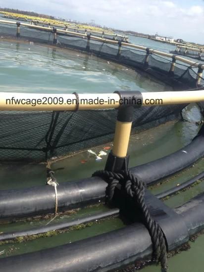 Floating Net Cage for Fish Farming