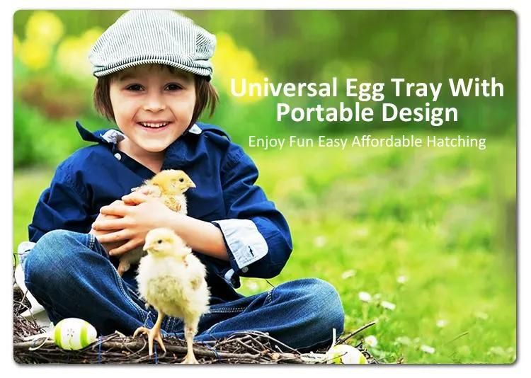 Hhd Cheap Automatic Mini Chicken Egg Incubator for Sale
