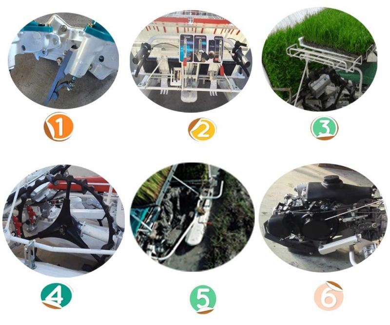 Made in China Factory Supply Agricultural Machinery 4 Rows Walking Paddy Rice Transplanter
