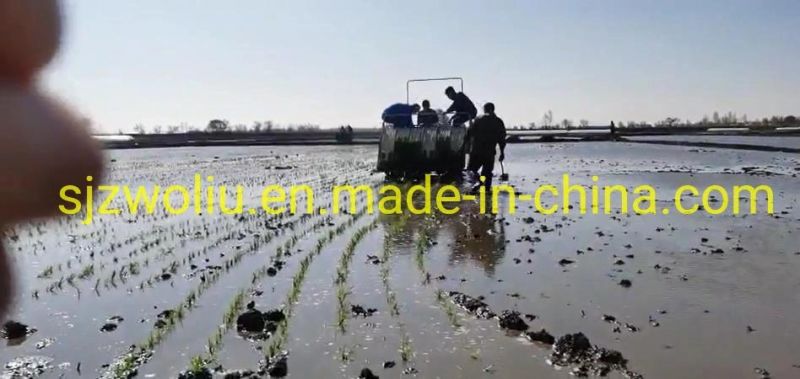High Quality 2zg-8s 8 Rows Paddy Rice Seedlings Transplanter
