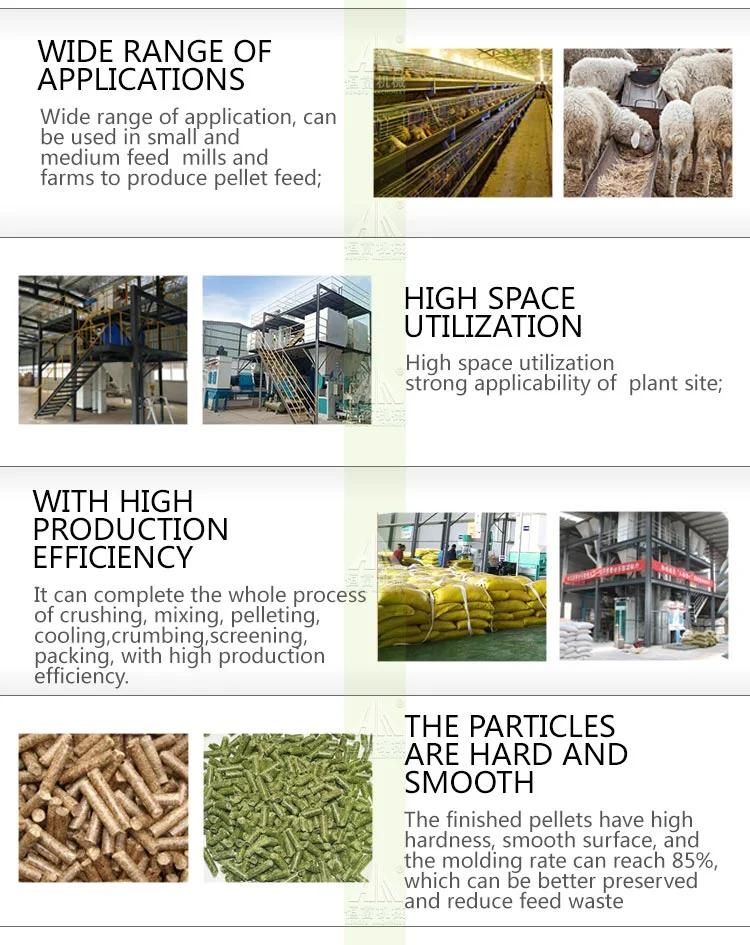Capacity Customized Poultry Livestock Chicken Cattle Animal Feed Pellet Machine Making Production Line