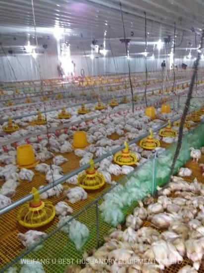 CE ISO Approved Chicken Farming Complete Setup Equipment for Broiler Breeder Layer Chicken