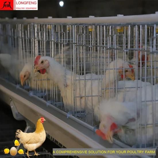 High Quality and High Density Fogging and Doser Longfeng Poultry Equipment with on-Site ...
