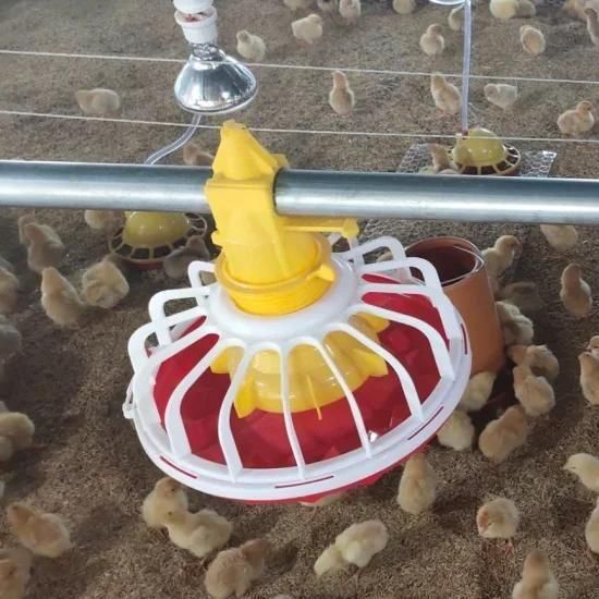 Automatic Broiler Farm Equipment Feeding System Drinking System for Poultry