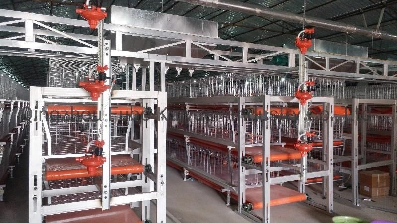 Automatic Poultry Cage System/Drinking Line/Chicken House/Egg Incubator/Poultry Farms/Chicken Egg Incubator/ Poultry Farm Equipment for Broiler/Poultry House