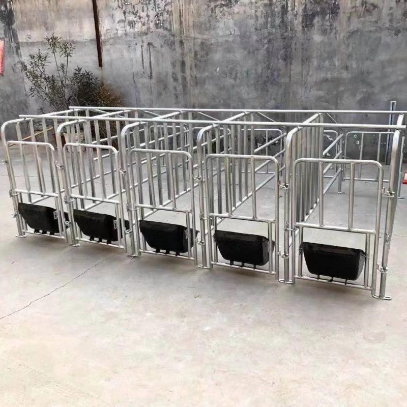 Gestation Crates for Pigs Gestation Stalls