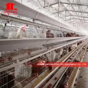 3-5 Tier Automatic Africa Layer Poultry Chicken Cage